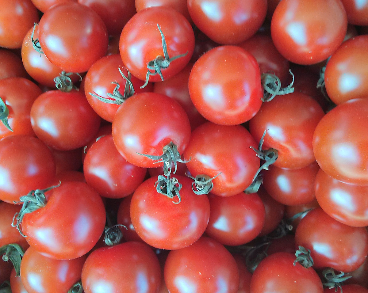 The Local General Store tomatoes